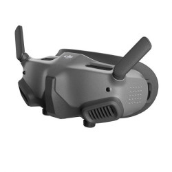 DJI Goggles 2 Motion Combo (DJI RC Motion 2)